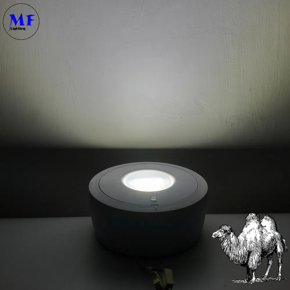 पैनल डाउन लाइट एलईडी पैनिक इमरजेंसी एस्केप एग्जिट साइन लाइट IP65 बैटरी बैकअप रिचार्जेबल पब्लिक स्कूल हॉस्पिटल व्हाइट 3