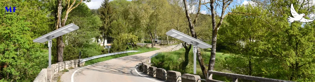 एलईडी सोलर स्ट्रीट गार्डन लाइट मोशन सेंसर व्हाइट सिल्वरी 120W 100W 80W एल्यूमीनियम। IP66 फुटपाथ विला आंगन 5