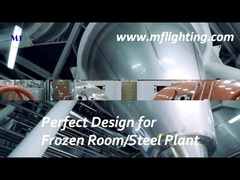 टेम्पर्ड ग्लास डिफ्यूज़र के साथ 600 मिमी एलईडी त्रि प्रूफ स्थिरता 25W