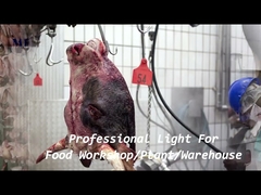 1200mm IP68 वाटरप्रूफ ट्राई प्रूफ LED लाइट चेन ब्रैकेट माउंटेड