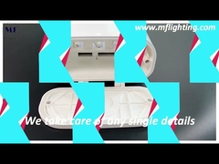 IP65 Triproof एलईडी रैखिक रोशनी खाद्य कारखाने के लिए Dimmable