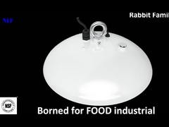 उच्च बे प्रकाश का नेतृत्व किया