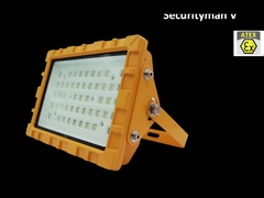 डस्टप्रूफ EX IECEX IK10 30W 50W 60W 80W 100W के साथ IP66 IP67 LED धमाका प्रूफ स्ट्रीट लाइट