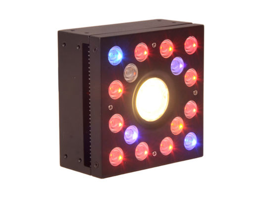 65W Full Spectrum LED Grow Lightst, DIY Module design,3W LED Chip,Red+Blue+White+IR