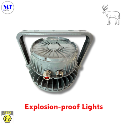 IP66 IK08 5 साल की वारंटी विभिन्न स्थापना के तरीके Ra>80 ATEX प्रमाणित डाई-कास्ट एल्यूमीनियम विस्फोट प्रूफ हाईबे लाइट